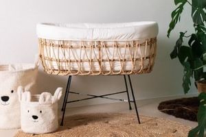Moses Baskets and Stands for Babies